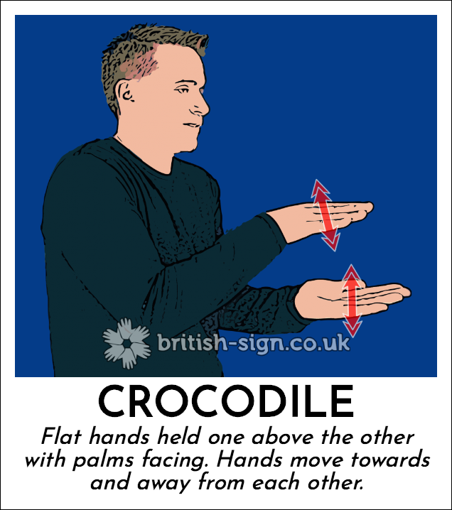 Crocodile: Flat hands held one above the other with palms facing. Hands move towards and away from each other.